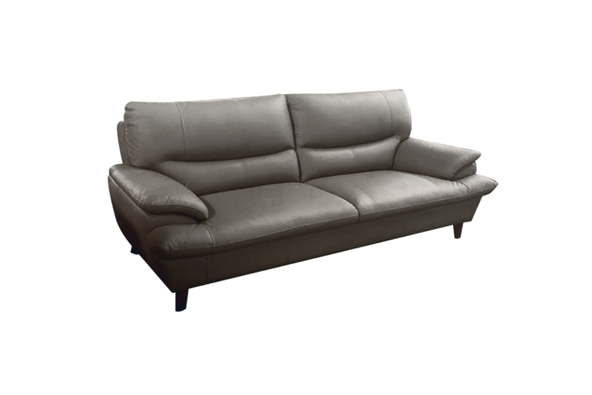 Antel 2 Seater Sofa, Leather